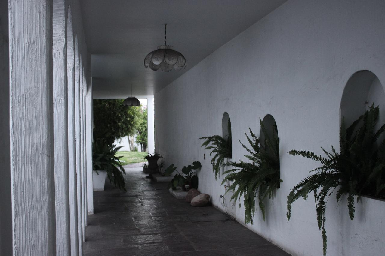 Hostel Allende 304 Aguascalientes Exteriér fotografie