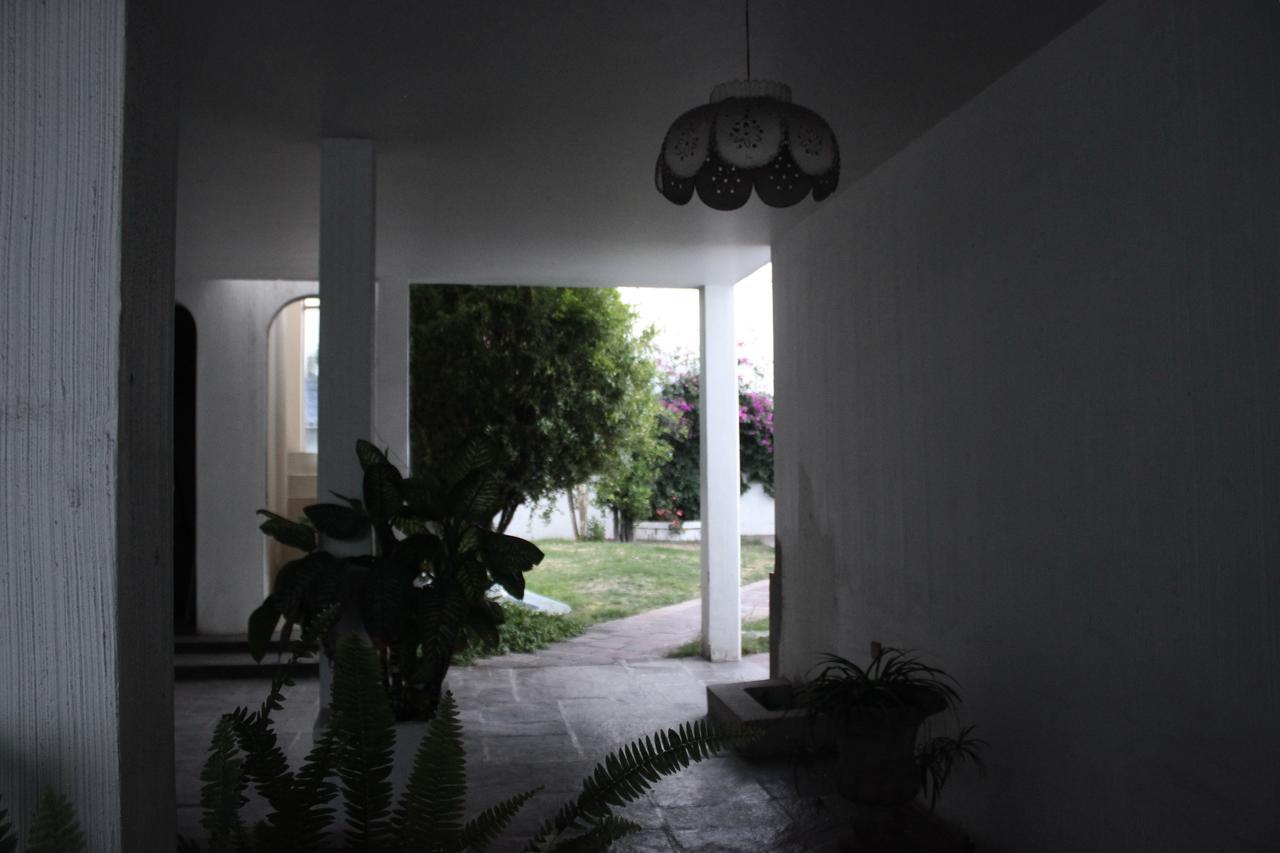 Hostel Allende 304 Aguascalientes Exteriér fotografie
